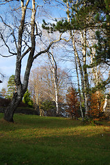 Image showing Autumn in countryside