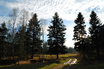 Image showing Autumn in countryside