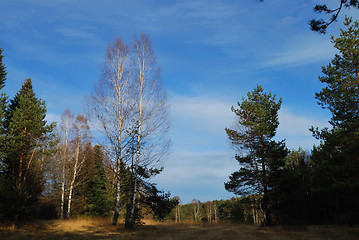 Image showing Autumn in countryside