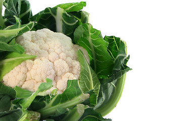 Image showing Cauliflower