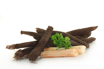 Image showing Salsify