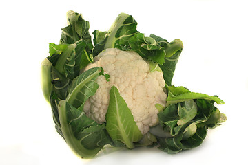 Image showing Cauliflower