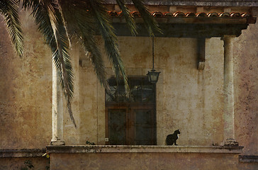 Image showing Entrance and cat retro