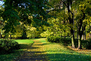 Image showing Autumn morning