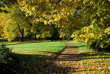 Image showing Autumn morning