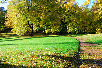 Image showing Autumn morning