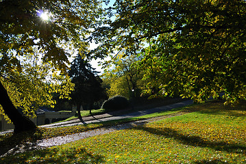 Image showing Autumn morning