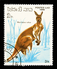 Image showing Kangaroo stamp.