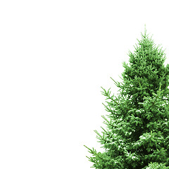 Image showing Green Christmas Tree with space for text