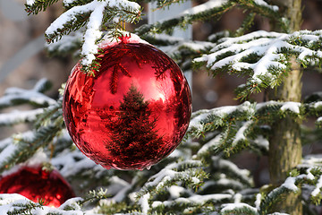 Image showing Christmas bauble on fir tree