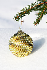 Image showing christmas bauble on christmas tree