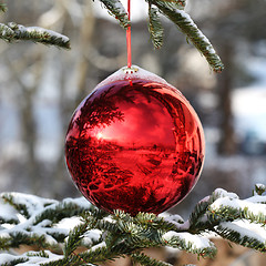 Image showing Christmas bauble