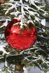 Image showing Red Christmas decorations