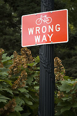 Image showing WRONG WAY