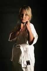 Image showing Karate girl