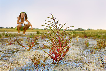 Image showing Journey wild places