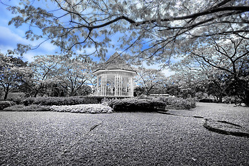 Image showing Botanic gardens Bandstand