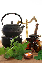 Image showing Naturopathy