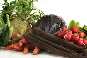 Image showing Winter vegetables