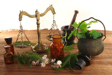 Image showing Homeopathy