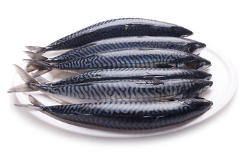 Image showing Fresh mackarel