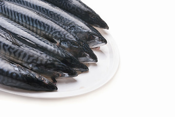 Image showing Fresh mackarel