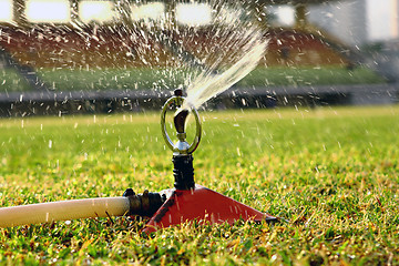 Image showing Water jets sprinkling stadium field