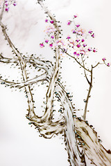 Image showing Ancient Traditional Artistic Plum Blossom Pattern 