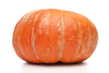 Image showing Orange pumpkin