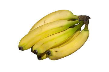 Image showing Bunch of Bananas