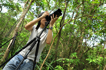 Image showing Photographer in forest