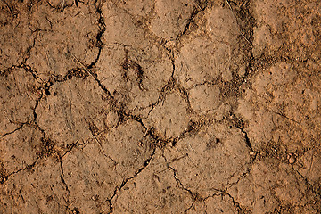 Image showing dry cracked earth