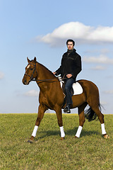 Image showing Novice Horse Rider