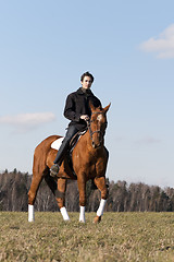 Image showing  Horse Rider