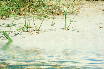 Image showing sand beach