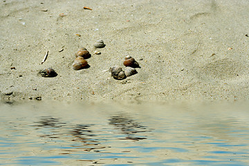 Image showing sand beach