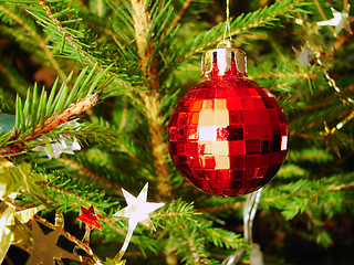 Image showing Christmas tree