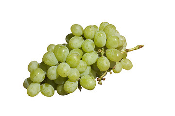 Image showing grapes-green