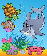 Image showing Underwater animals and fishes 1