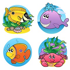 Image showing Various water animals and fishes 2
