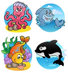 Image showing Various aquatic animals and fishes