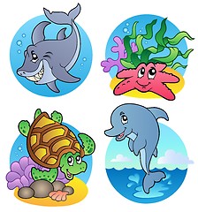 Image showing Various sea animals and fishes