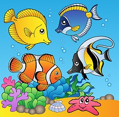 Image showing Underwater animals and fishes 2