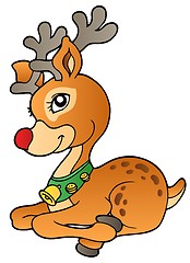 Image showing Young Christmas reindeer 1