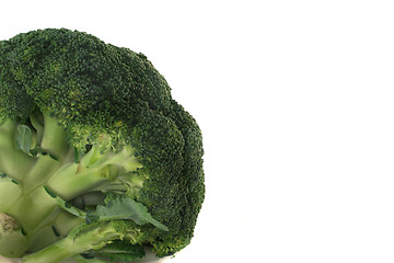 Image showing Broccoli