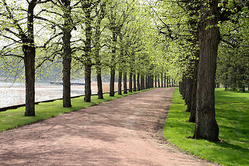 Image showing In the spring, trees in the park near the lake water
