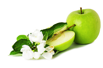 Image showing green apple and blossoming branch 