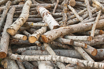 Image showing  Heaped aspen logs, a close up 