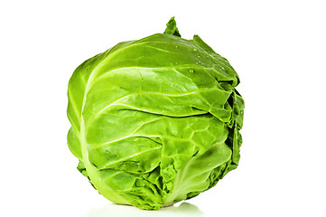 Image showing  young cabbage, it is isolated on white 