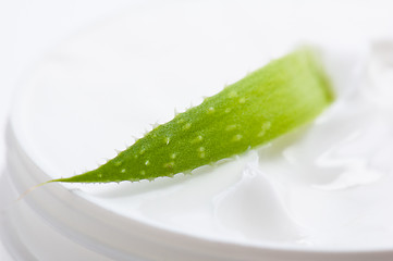 Image showing Aloe and face cream 